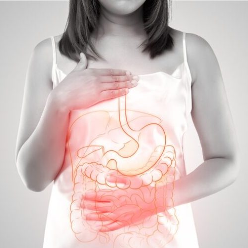 illustration-internal-organs-is-womans-body-against-gray-background_46527-915